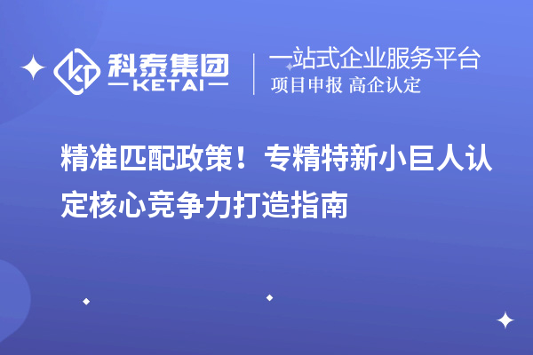 精準匹配政策！專精特新小巨人認定核心競爭力打造指南
