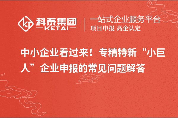 中小企業(yè)看過(guò)來(lái)！專精特新 “小巨人” 企業(yè)申報(bào)的常見問(wèn)題解答