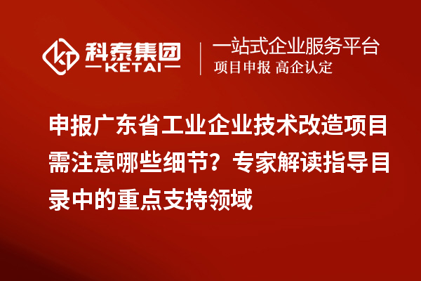 申報廣東省工業(yè)企業(yè)技術(shù)改造項目需注意哪些細節(jié)？專家解讀指導(dǎo)目錄中的重點支持領(lǐng)域