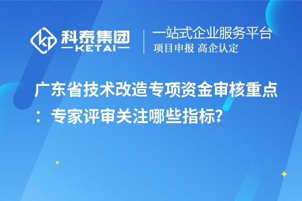 廣東省技術(shù)改造專項資金審核重點：專家評審關(guān)注哪些指標(biāo)？