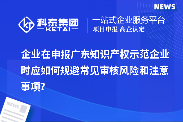 企業(yè)在申報廣東知識產(chǎn)權(quán)示范企業(yè)時應(yīng)如何規(guī)避常見審核風(fēng)險和注意事項?