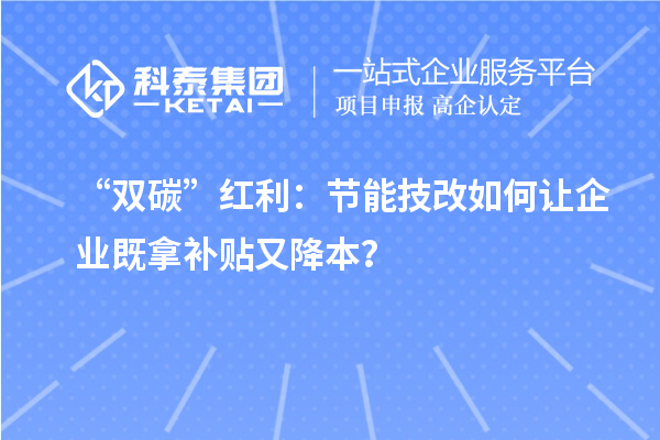 “雙碳”紅利：節(jié)能技改如何讓企業(yè)既拿補貼又降本？