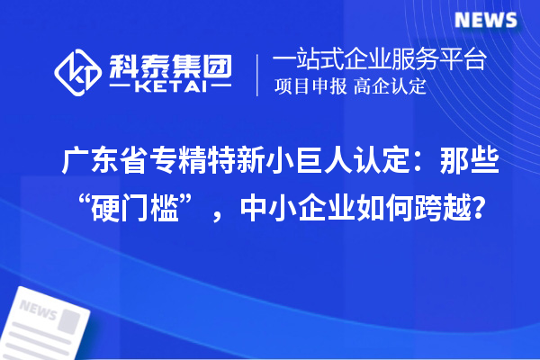 廣東省專精特新小巨人認定：那些“硬門檻”，中小企業如何跨越？