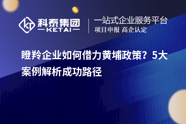 瞪羚企業如何借力黃埔政策？5大案例解析成功路徑