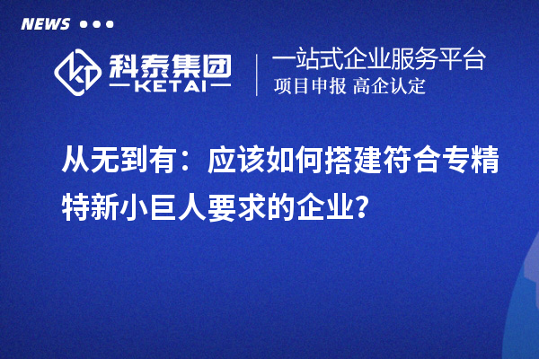 從無到有：應該如何搭建符合專精特新小巨人要求的企業(yè)？
