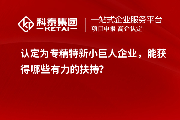 認定為專精特新小巨人企業，能獲得哪些有力的扶持？