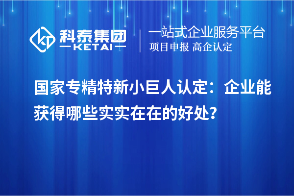 國家專精特新小巨人認定：企業能獲得哪些實實在在的好處？