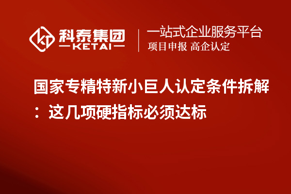 國家專精特新小巨人認定條件拆解：這幾項硬指標必須達標