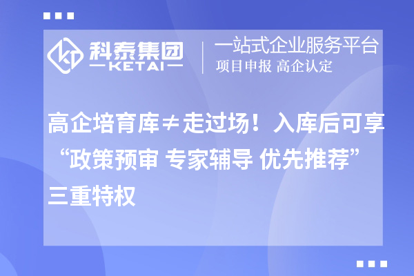 高企培育庫≠走過場！入庫后可享“政策預(yù)審+專家輔導(dǎo)+優(yōu)先推薦”三重特權(quán)
