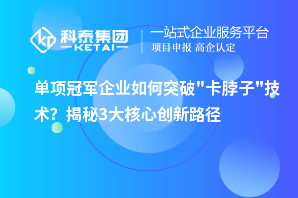 單項冠軍企業如何突破"卡脖子"技術？揭秘3大核心創新路徑