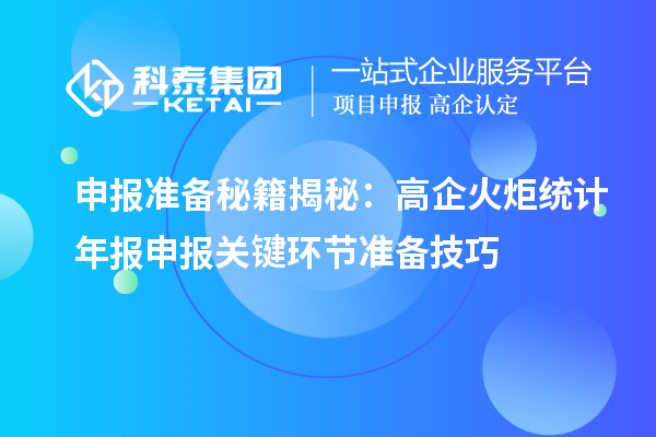 申報準備秘籍揭秘：高企火炬統計年報申報關鍵環節準備技巧