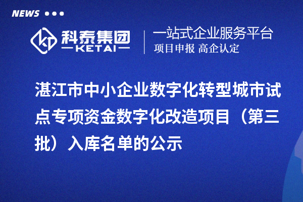 湛江市中小企業數字化轉型城市試點專項資金數字化改造項目（第三批）入庫名單的公示
