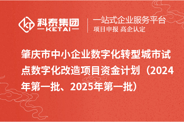 肇慶市中小企業數字化轉型城市試點數字化改造項目資金計劃（2024年第一批、2025年第一批）