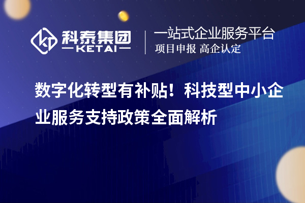 數字化轉型有補貼！科技型中小企業服務支持政策全面解析