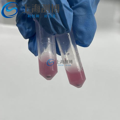 冷凍研磨儀助力動物睪丸組織蛋白、DNA 及 RNA 高效提取實驗案例